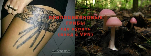 ПСИЛОЦИБИНОВЫЕ ГРИБЫ Бородино