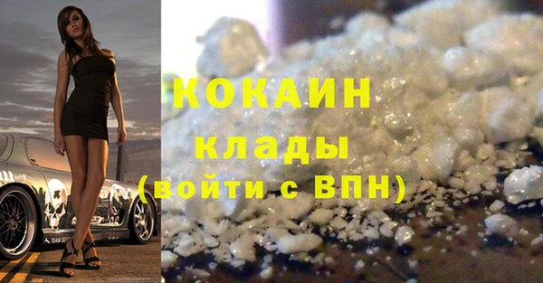 ПСИЛОЦИБИНОВЫЕ ГРИБЫ Бородино