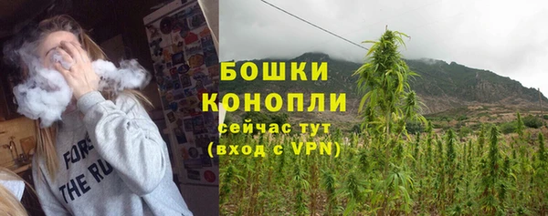 ПСИЛОЦИБИНОВЫЕ ГРИБЫ Бородино