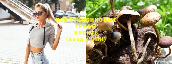 прущая мука Бронницы