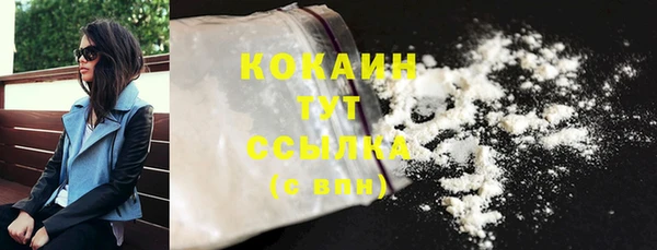 ПСИЛОЦИБИНОВЫЕ ГРИБЫ Бородино